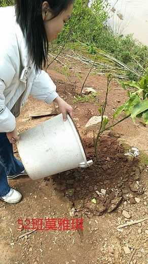 衡陽市蒸湘區(qū)仁愛實驗中學|衡陽全日制|全寄宿|全封閉|半月假制初級中學 衡陽市蒸湘區(qū)仁愛實驗中學|衡陽全日制|全寄宿|全封閉|半月假制初級中學