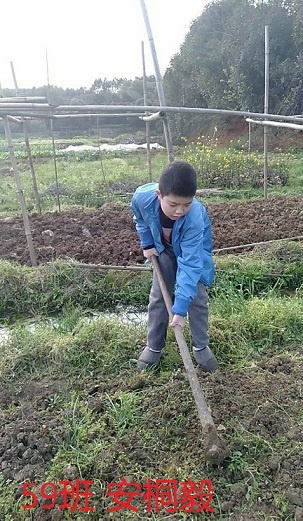 衡陽市蒸湘區(qū)仁愛實驗中學|衡陽全日制|全寄宿|全封閉|半月假制初級中學 衡陽市蒸湘區(qū)仁愛實驗中學|衡陽全日制|全寄宿|全封閉|半月假制初級中學