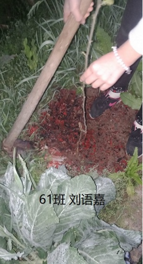 衡陽市蒸湘區(qū)仁愛實驗中學|衡陽全日制|全寄宿|全封閉|半月假制初級中學 衡陽市蒸湘區(qū)仁愛實驗中學|衡陽全日制|全寄宿|全封閉|半月假制初級中學