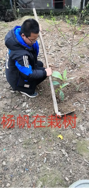 衡陽市蒸湘區(qū)仁愛實驗中學|衡陽全日制|全寄宿|全封閉|半月假制初級中學 衡陽市蒸湘區(qū)仁愛實驗中學|衡陽全日制|全寄宿|全封閉|半月假制初級中學