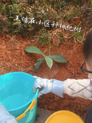 衡陽市蒸湘區(qū)仁愛實驗中學|衡陽全日制|全寄宿|全封閉|半月假制初級中學 衡陽市蒸湘區(qū)仁愛實驗中學|衡陽全日制|全寄宿|全封閉|半月假制初級中學