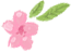 衡陽市蒸湘區(qū)仁愛實(shí)驗中學(xué)|衡陽全日制|全寄宿|全封閉|半月假制初級中學(xué)