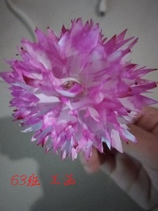 衡陽市蒸湘區(qū)仁愛實(shí)驗中學(xué)|衡陽全日制|全寄宿|全封閉|半月假制初級中學(xué)