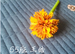 衡陽市蒸湘區(qū)仁愛實(shí)驗中學(xué)|衡陽全日制|全寄宿|全封閉|半月假制初級中學(xué)