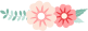 衡陽市蒸湘區(qū)仁愛實(shí)驗中學(xué)|衡陽全日制|全寄宿|全封閉|半月假制初級中學(xué)